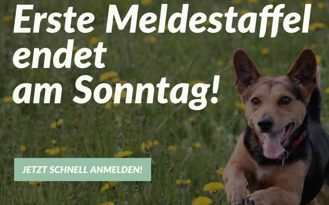 Erste Meldestaffel endet Sonntag