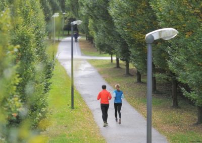 Teil der Marathonbahn wird Ende 2018 für ein Jahr gesperrt<dataavatar hidden data-avatar-url=https://secure.gravatar.com/avatar/697a881974315d1f998c3f766abdc0e4?s=96&d=mm&r=g></dataavatar>
