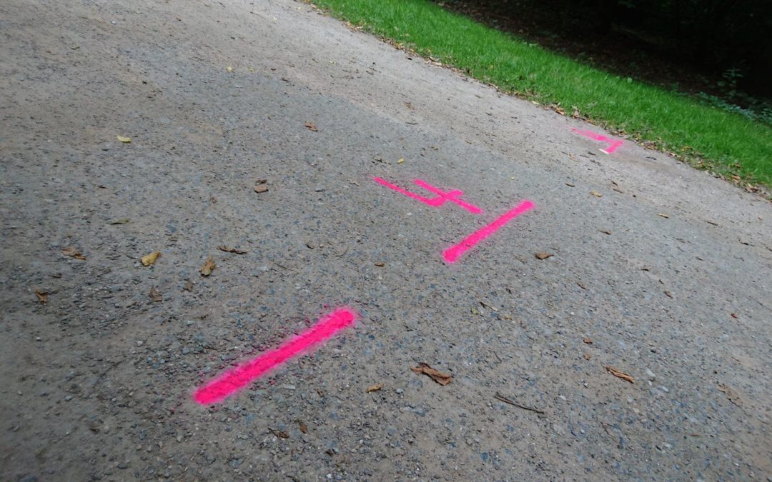 Neon-grelle Markierungen zieren Wittringer Marathon-Runde